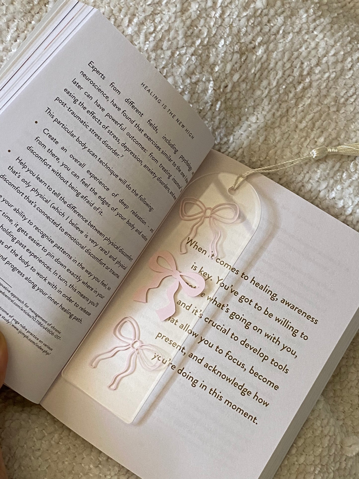 Coquette Christmas Acrylic Bookmarks